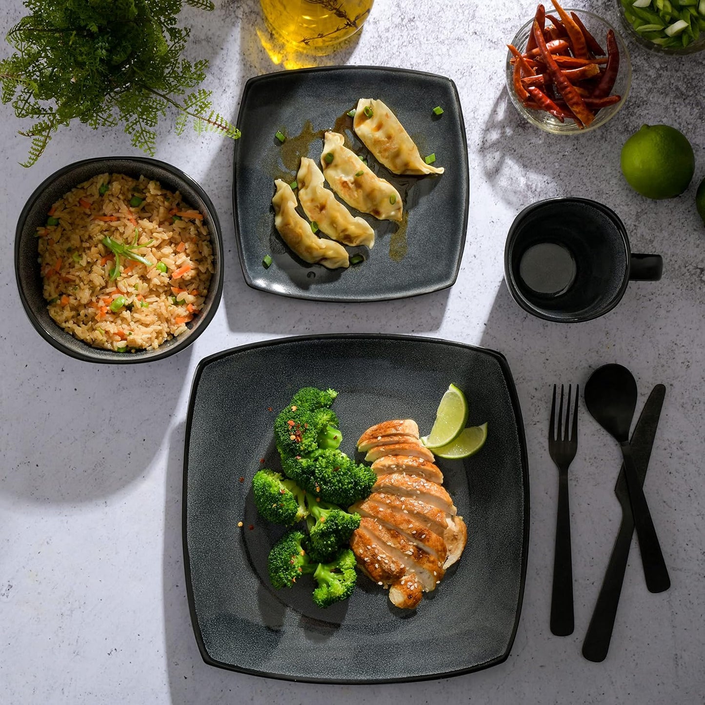 Vajilla Gibson Carbon - Vascella